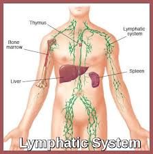 lymphoma